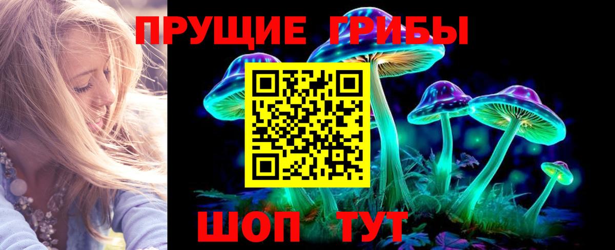 Тольятти  Галлюциногенные грибы Psilocybe  Галлюциногенные грибы мицелий  Вход с VPN 